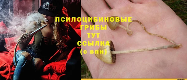 крисы Балабаново