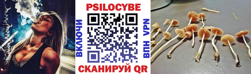 Галлюциногенные грибы Magic Shrooms  купить наркотик  Ливны 